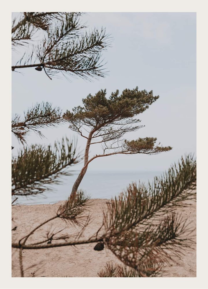 poster-2