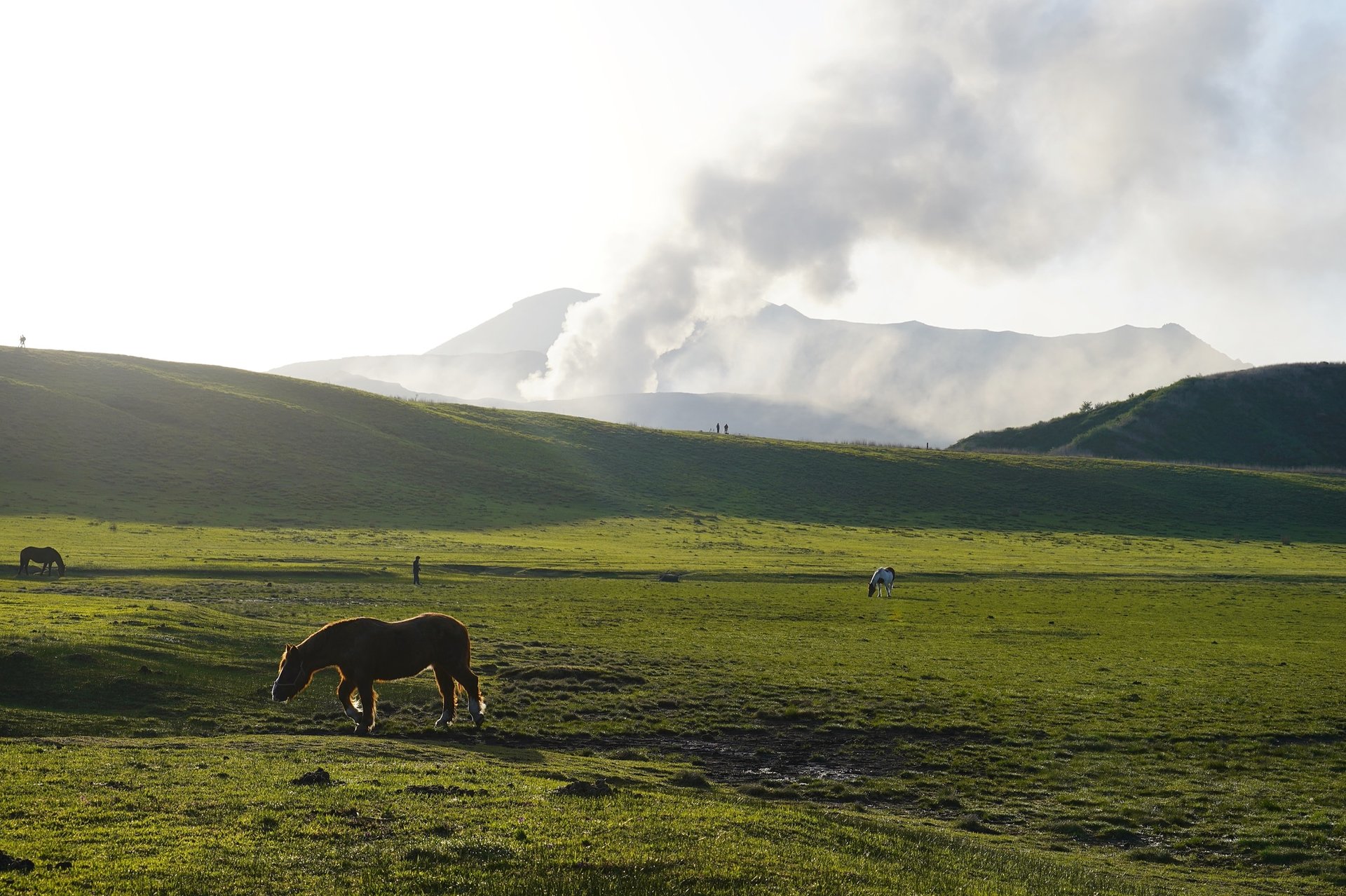 Unveil the Japan's Hidden Treasures