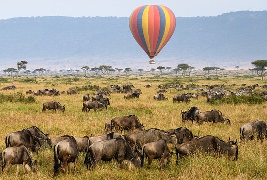 Hot air balloon safari in the Serengeti, Tanzania