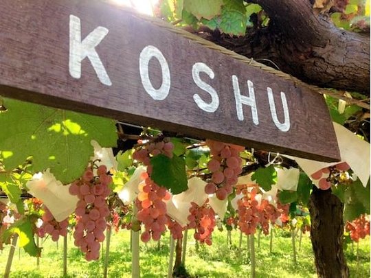 Local Wine and Sake Tasting