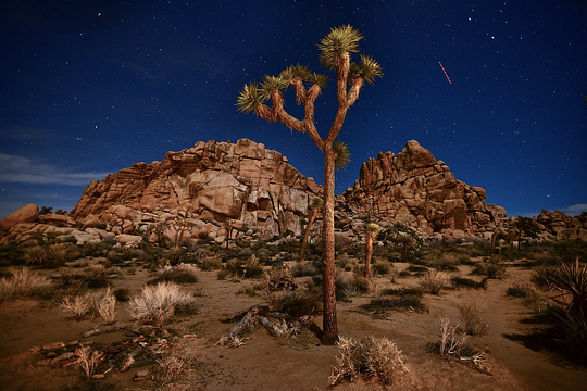 Joshua Tree Sunset Hike, Dinner, and Night Sky Presentation