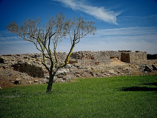 Visit Roman ruins in Barcelona and Girona
