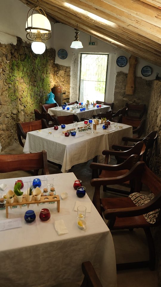 Olive Oil Tasting and Lunch