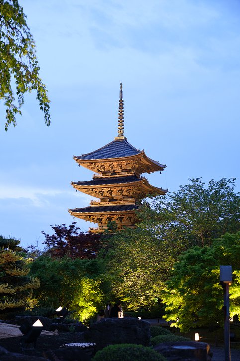 iStock1486774046