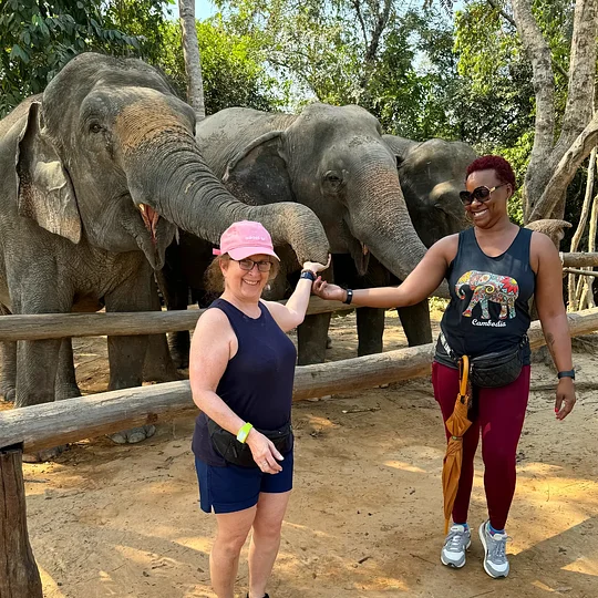 Elephant Sanctuary