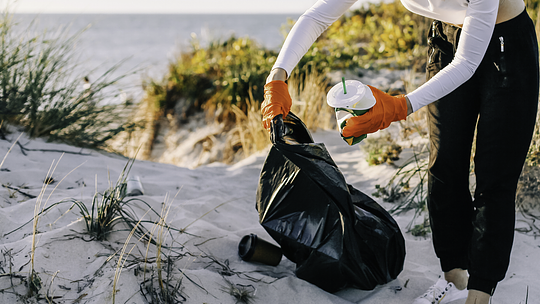 IMPACT ON THE ENVIRONMENT