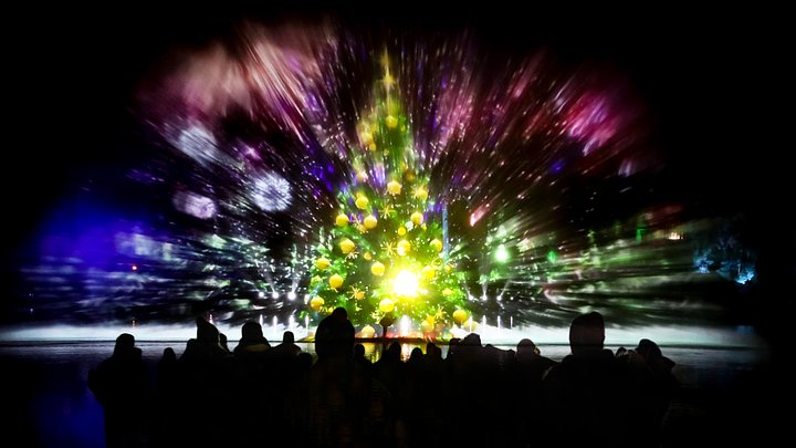 christmastreewatershowedit