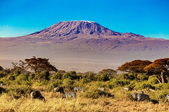 Climb Kilimanjaro via the 7-Day Machame Route