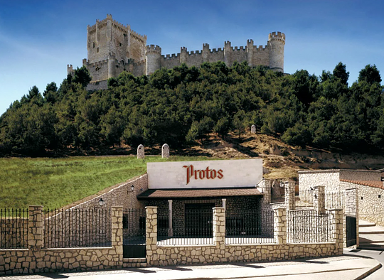 Cena premium en Bodegas Protos