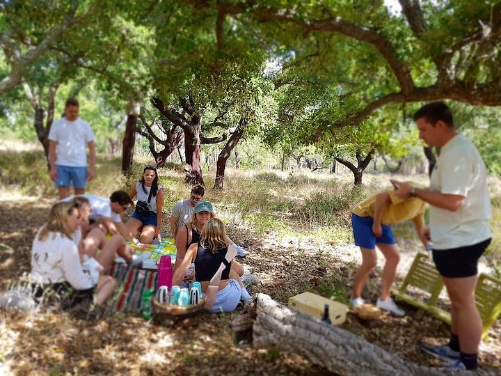 picnic