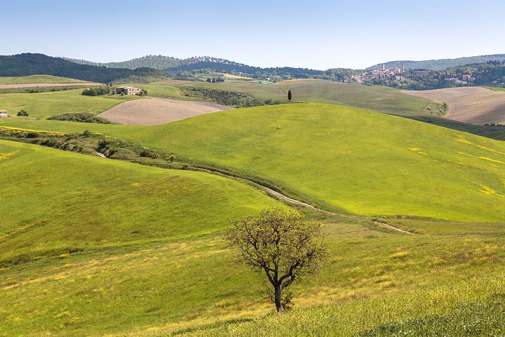 2026_San_Casciano_05