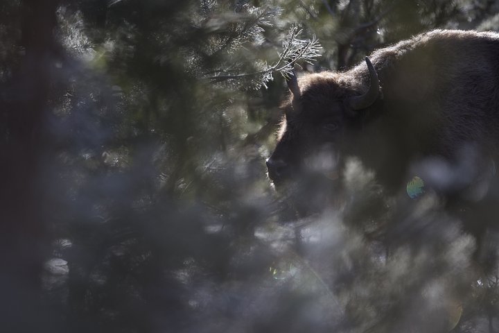 Copyof_DO_0932