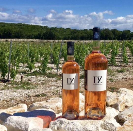 Corsica Wine Tasting