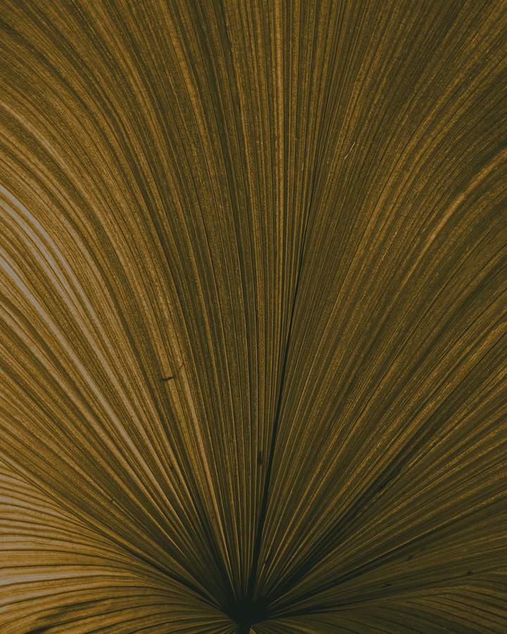 INESTOSocialCarousel13SlowFacilitation45