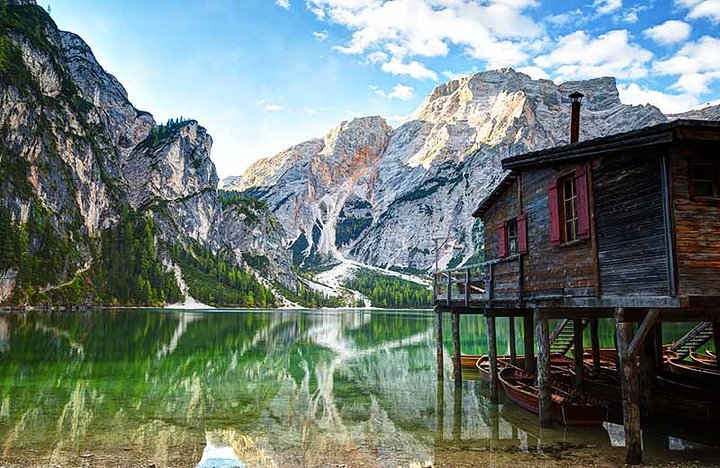 lagodibraies