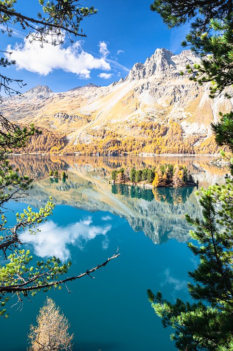 iStock1445555915