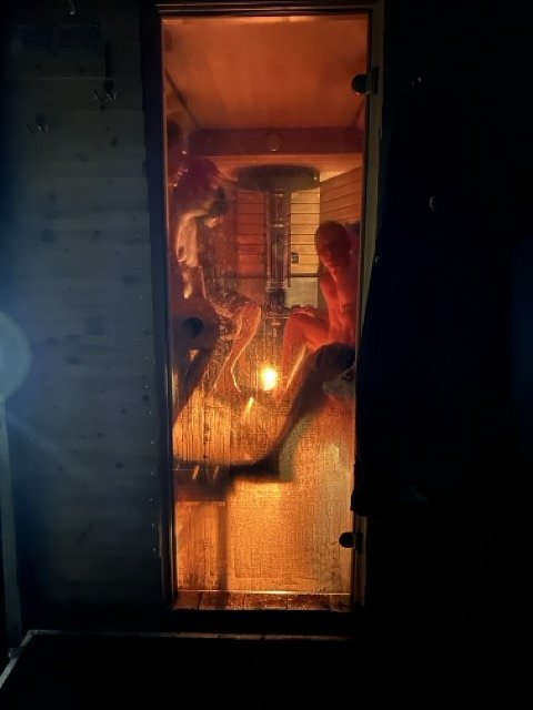 horseaboxinsidepeoplechatting