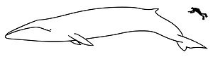 file1_11zon