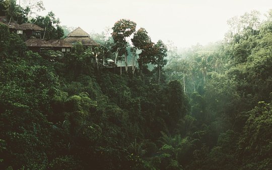 https://beunsettled.co/blog/how-travel-can-save-the-world-and-5-ways-we-do-on-unsettled-amazon/