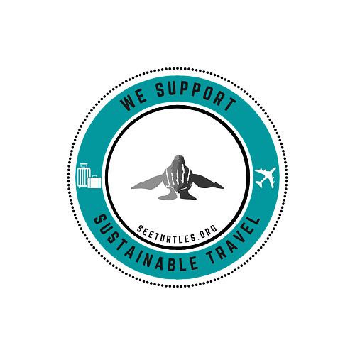 Seeturtles.Org