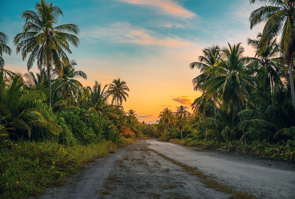 Rastafari Indigenous Village Tour