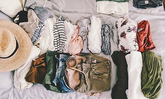 Wildlife Safari Essentials