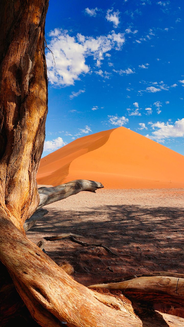 seanrobertson5ftxFgXLtkIunsplash