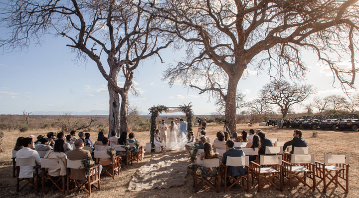 safariweddingceremonyunderatree1024x5651