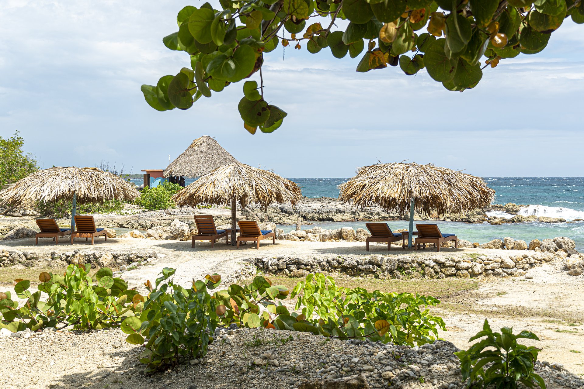 Coral Cove Wellness Resort