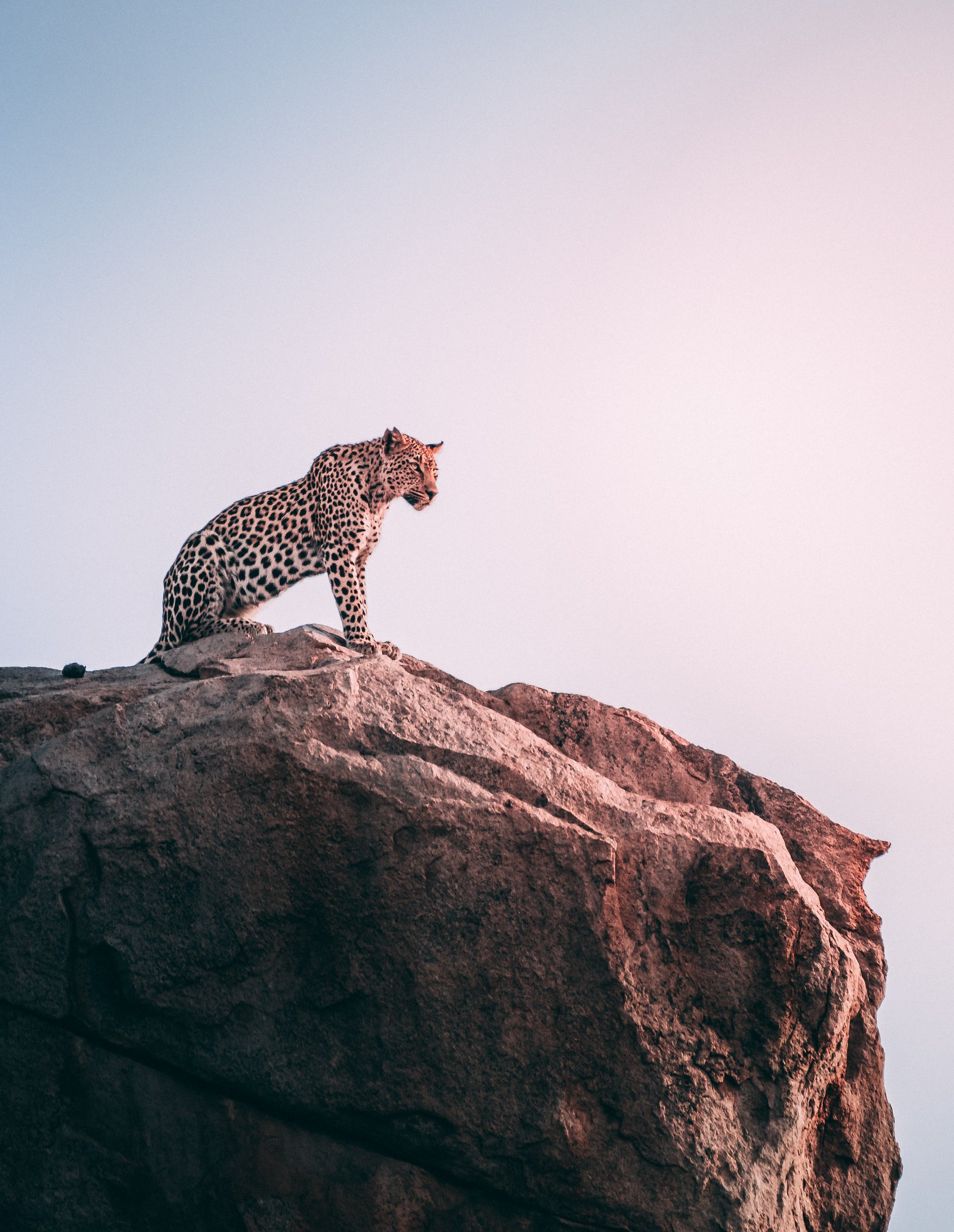 gerandeklerkwYy3rvvgjAUunsplash