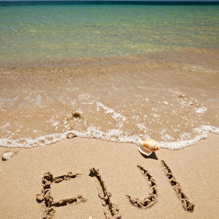 FijiOverview