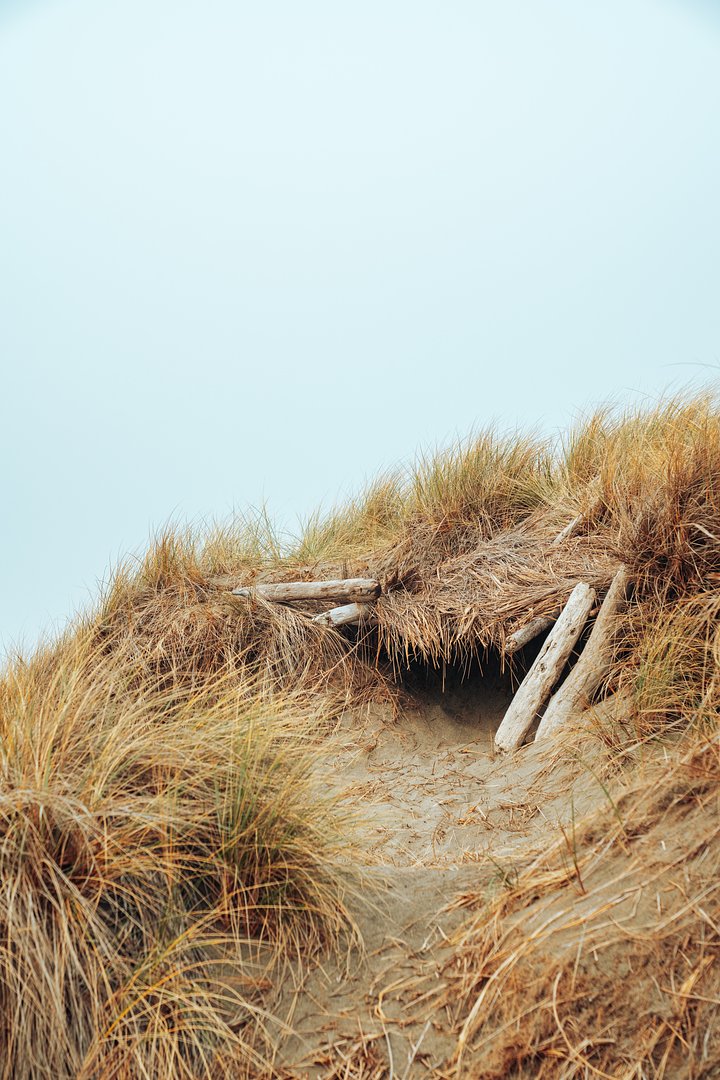 merittthomasJoScOshY_RYunsplash