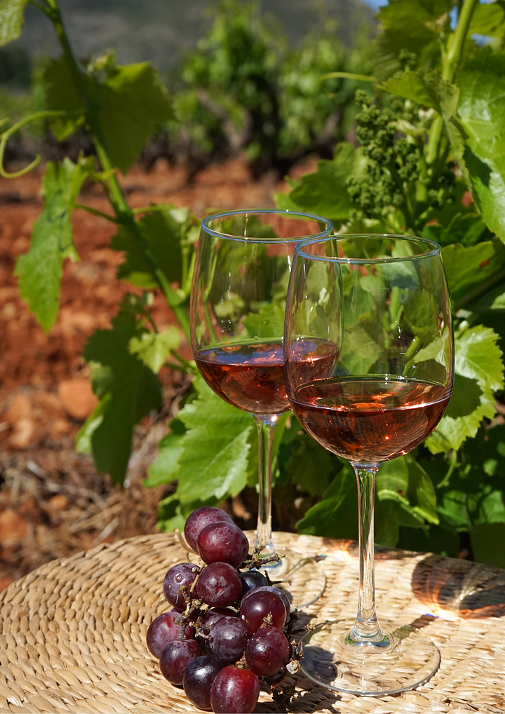 Wineexp