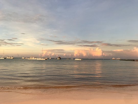 The Beach 