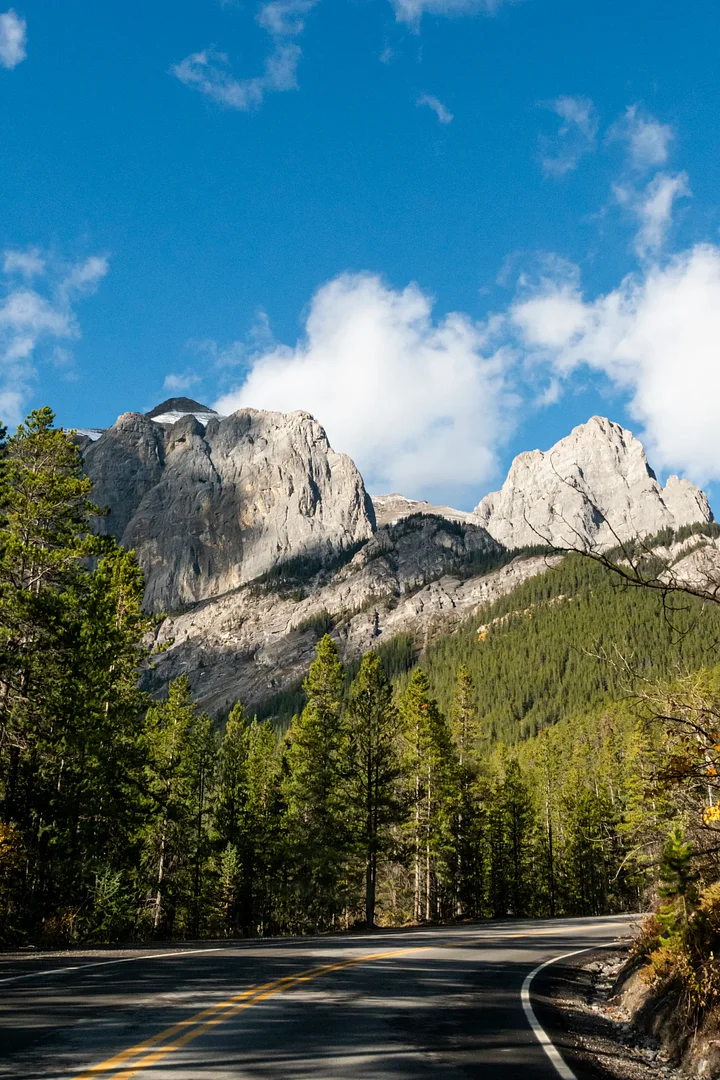 iStock2260272475