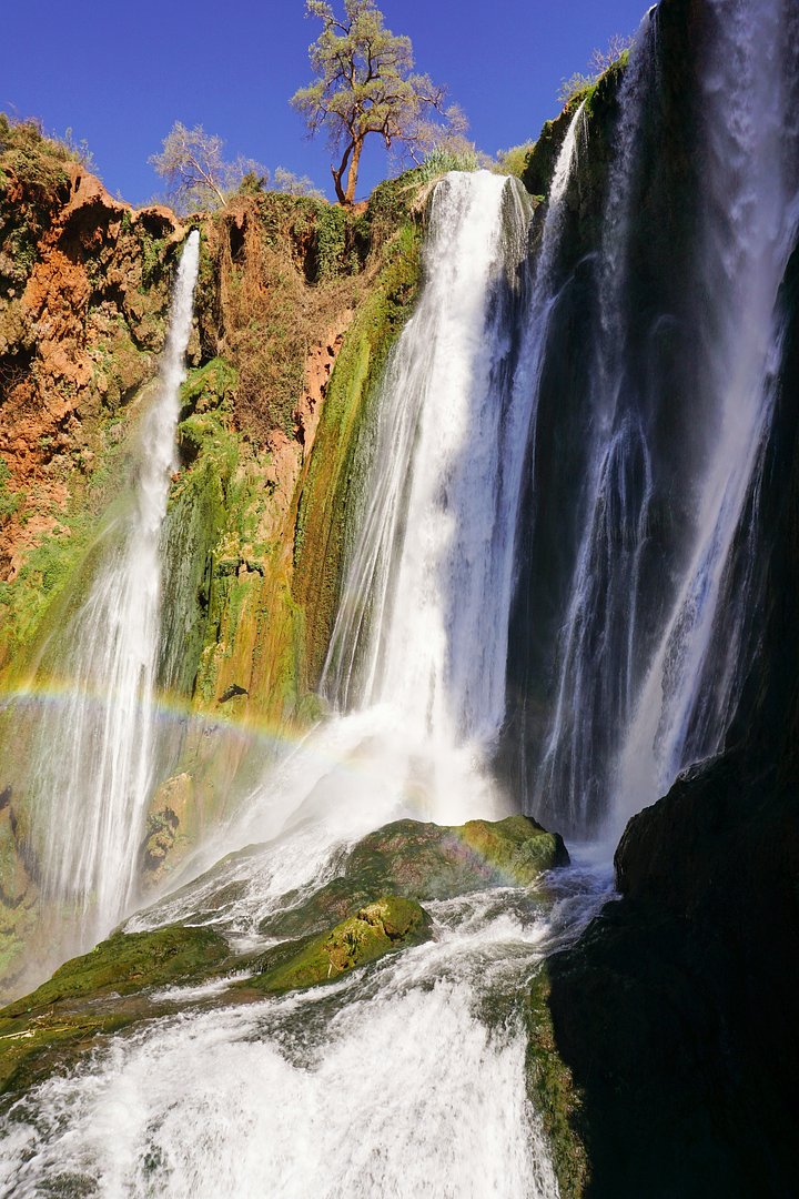 selinabubendorferjP51Ai2tQGEunsplash
