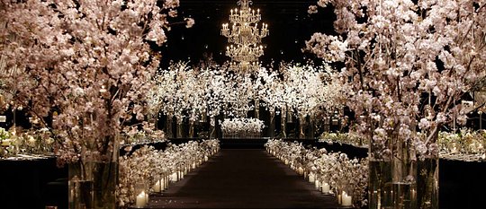 Ethereal Nuptials in Kyoto