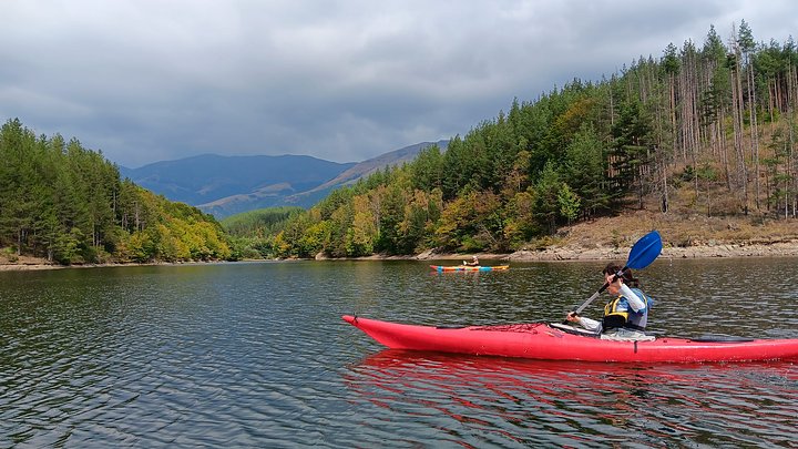 kayaks