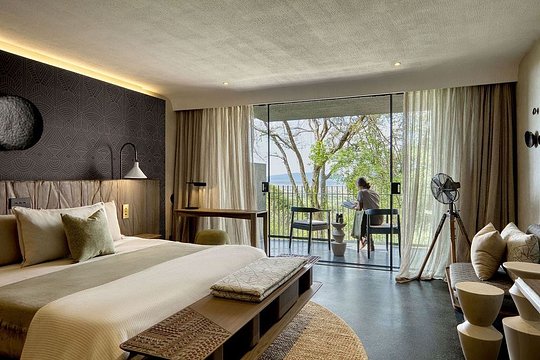 Single Room (Queen or King)