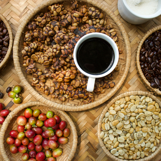 Unique Coffee Tasting