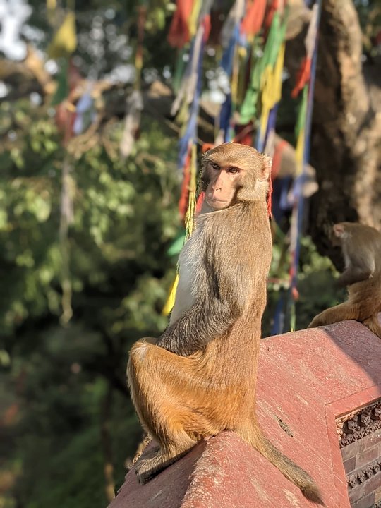 Visit Sacred Temples & Sites