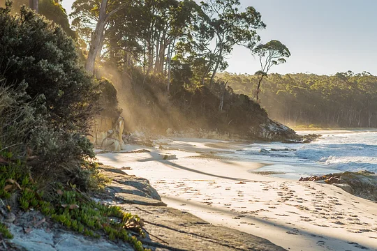 Explore the rugged beauty of Bruny Island's coastline