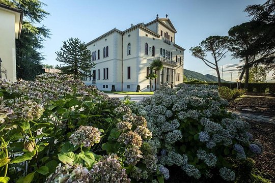 Villa Soligo