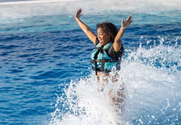Dolphin Splash Excusion