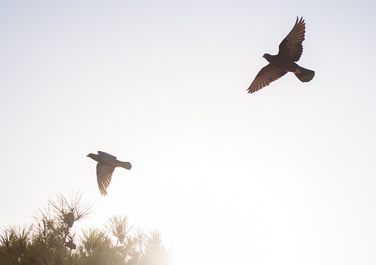 More intuition for navigating difficulties.