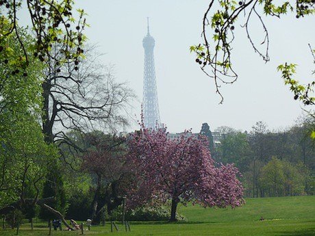 Eiffel_Tower_111