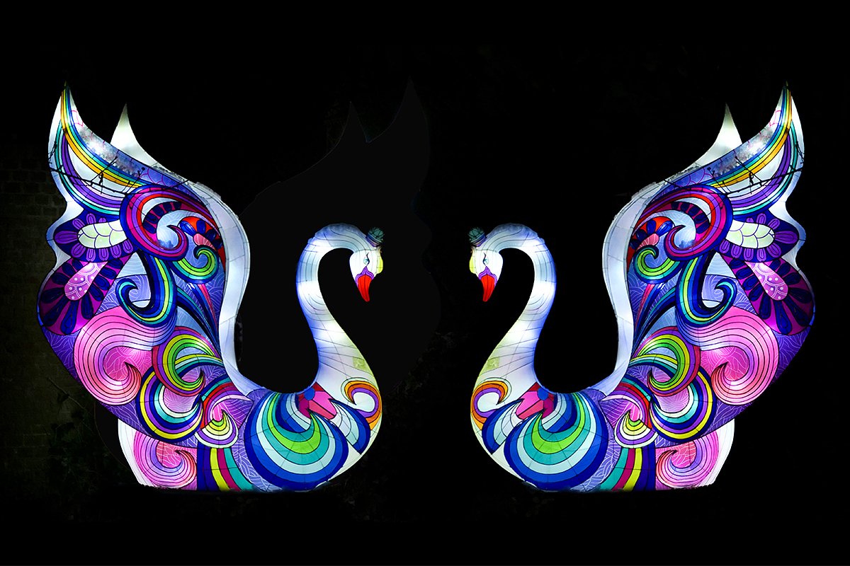 LightopiaWebBanners22swans