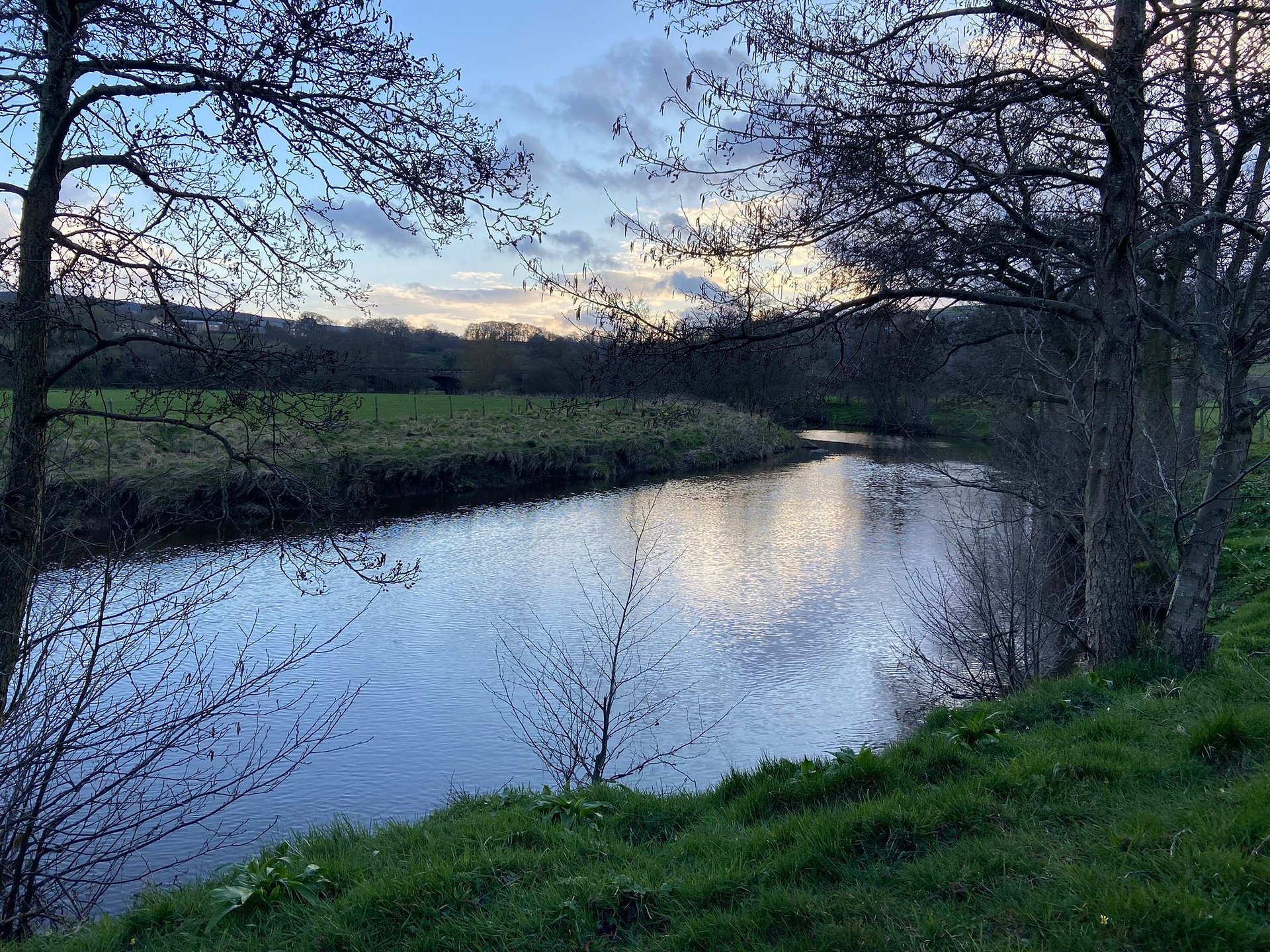 A beautiful peaceful meadow by a lovely river surrounded by ancient trees.