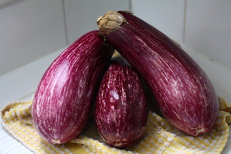 stripeyeggplants11