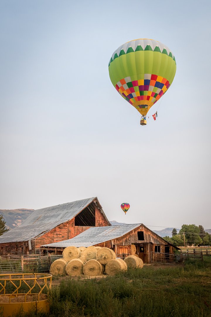 iStock1256219627